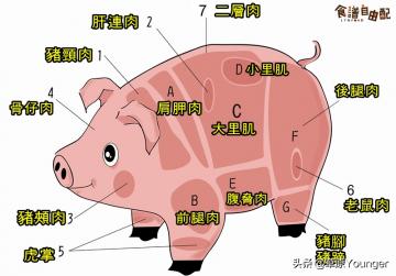 怎么认识猪的部位？