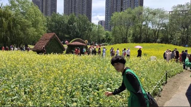 露莎莉斑马纹保暖背心:一衣柜的衣服不喜欢穿，又不舍得扔掉，怎么办？