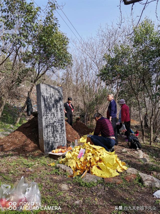 坟上没草有什么预兆,清明节前能清除坟上杂草树木吗？