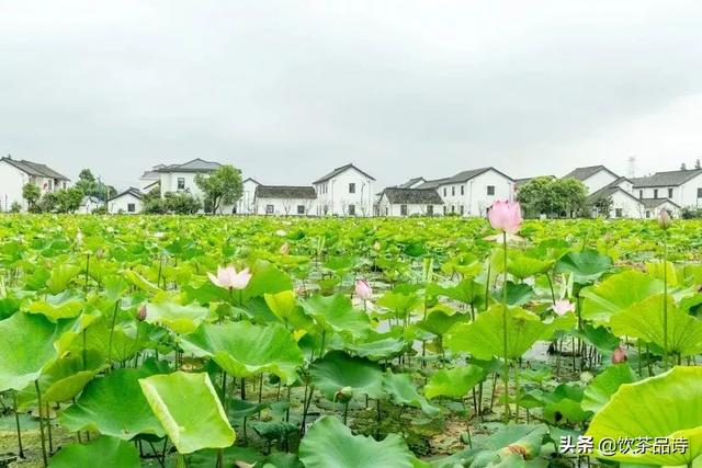 2021年有什么奇怪现象，2021年3月15日，为啥今年首次沙尘暴这么的猛，遮天蔽日