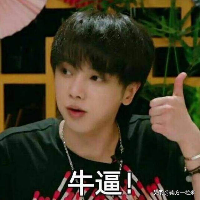 苗子杰:你粉了很多年的歌手都有谁为什么