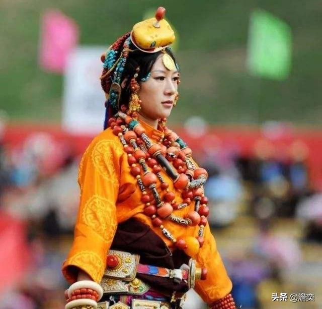 西藏首次发现亚洲胡狼:鬣狗和亚洲胡狼单挑或者群挑，谁更厉害？你怎么看？