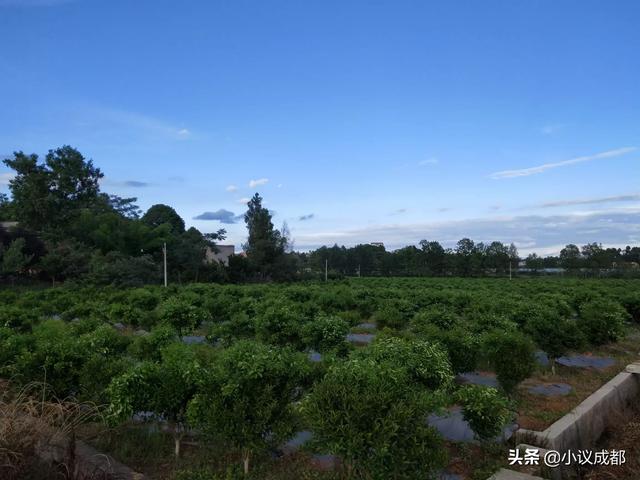 为什么实体生意难做,但是药店生意却很好,没见关门的？