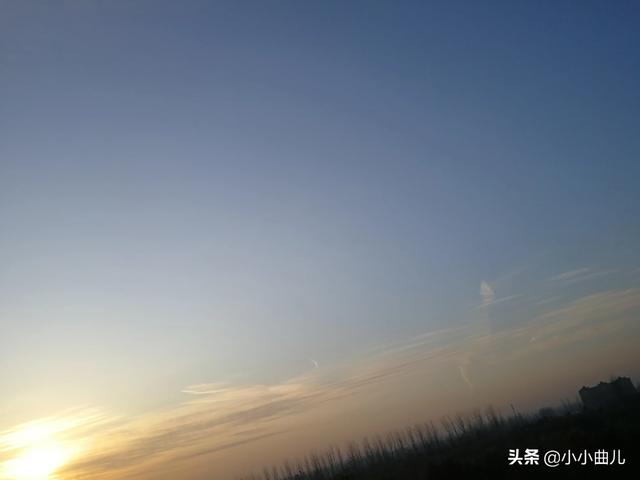 黄胸鹀的内在特点:草书的主要特点是什么？书写时有何技巧？