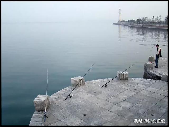 深海巨腹鱼在哪钓:秋冬海钓如何选钓点？用沙蚕还是小虾钓？