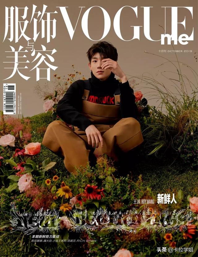 tf家族王源:王源的粉丝可以给我讲一下，王源的成就吗？