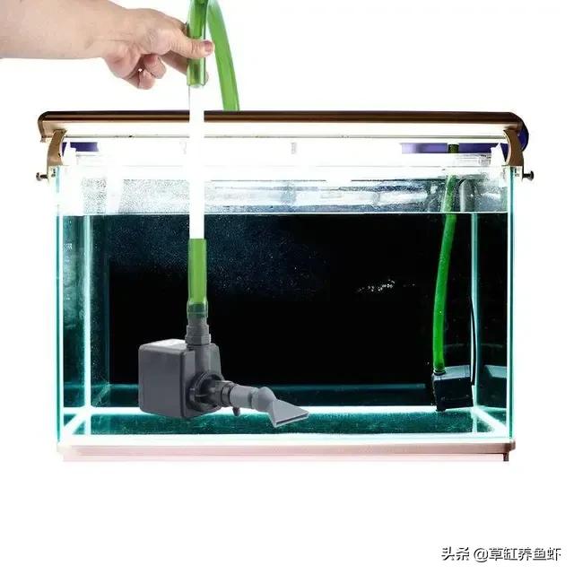 陆佳璐:国产鱼缸潜水泵哪个牌子最好