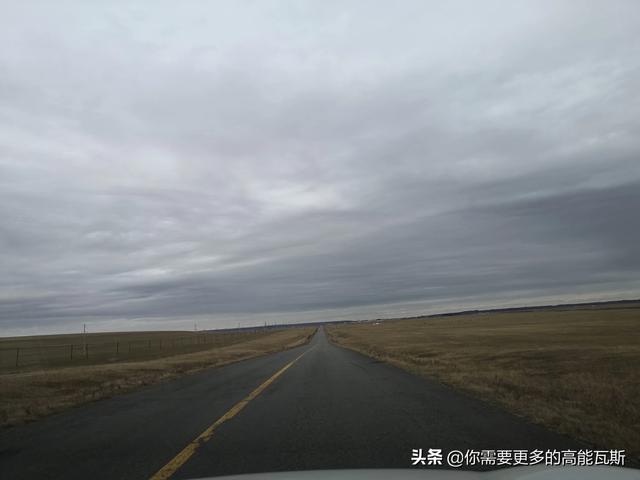 我家女的开车,男的指挥,各得其乐,你们家呢？