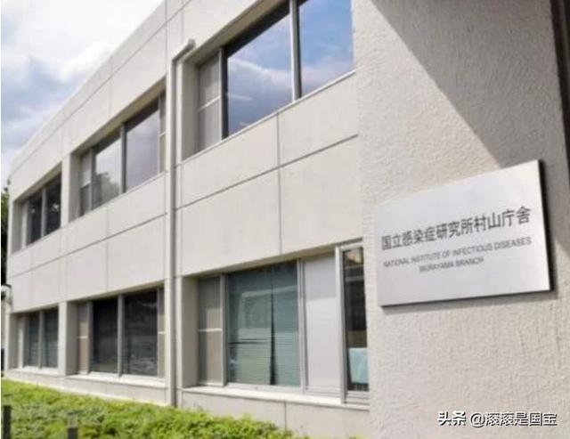 埃博拉吐内脏图:日本引入埃博拉病毒，你们怎么看待