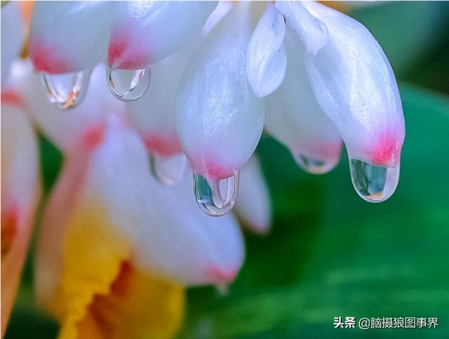 入门“残幅” “狗头”，真的能拍出质感通透的大片吗