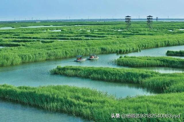 渡渡鸟复活在渡渡鸟的岛，李白的《渡荆门送别》为何历来被后人激赏