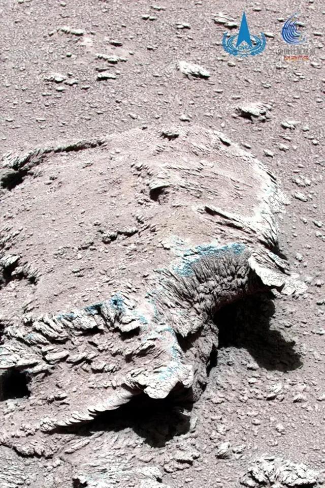 什么时候能与祝融号取得联系，祝融号传回火星照片，岩石上有像“霉菌”的东西，有生命存在吗