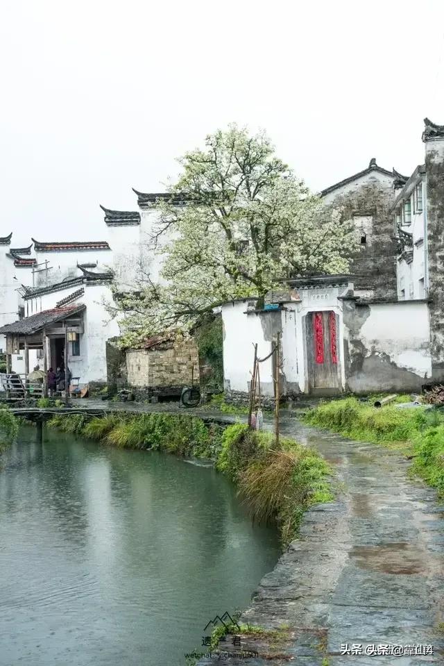 二婚找个丧夫的,百年后,葬在前夫家？还是后夫家？