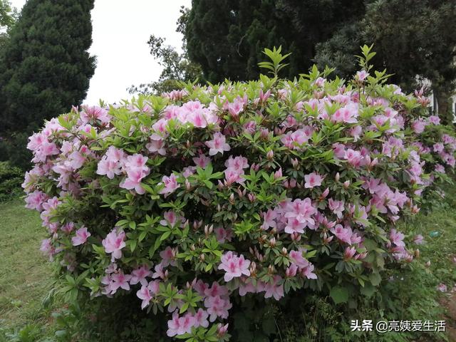 晚上吃什么减肥又<a href=https://maguai.com/list/56-0-0.html target=_blank class=infotextkey>健康</a>:晚上吃什么食物比较<a href=https://maguai.com/list/56-0-0.html target=_blank class=infotextkey>健康</a>？