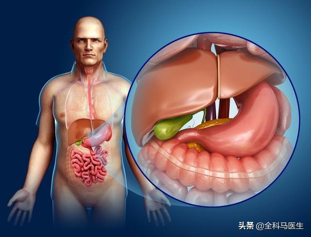 求救信号(求救信号接收器)