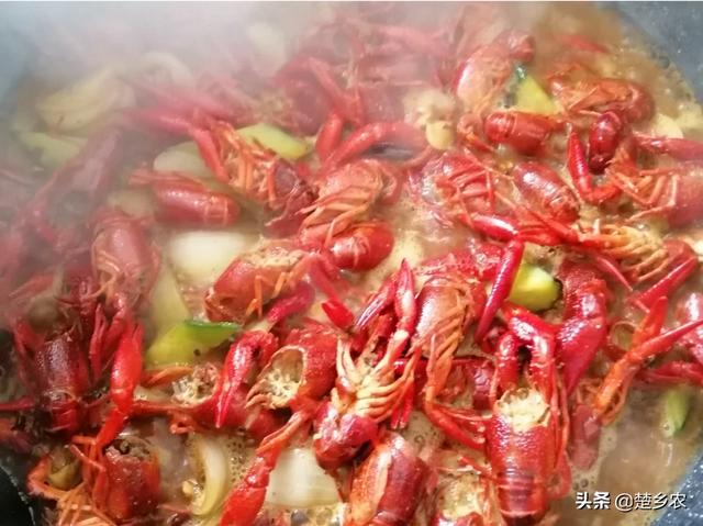 日本对虾养殖论坛:日本的对虾养殖技术怎么样 现在铺天盖地的养虾广告靠谱吗？还保价回收？