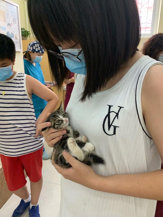 孩子和猫咪的图片大全:猫能让孩子变乖，变的爱学习，猫的魅力真的有这么大吗？