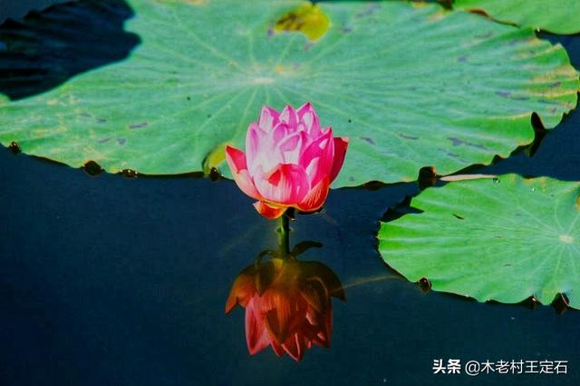 <a href=https://maguai.com/list/256-0-0.html target=_blank class=infotextkey>朋友圈</a>配图 心情:八月，能否分享一张代表你心情的照片？