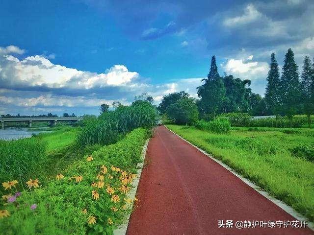 小学生恋爱:大家对现在一些小学生就开始谈恋爱有什么看法？