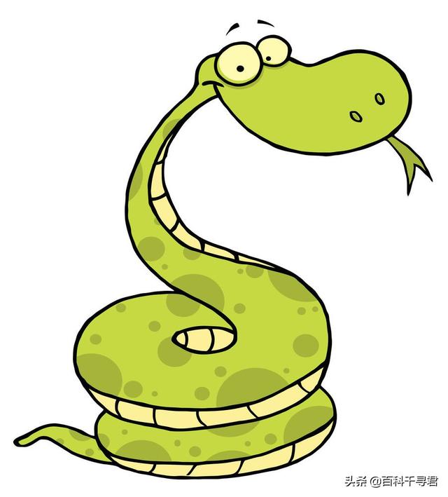 五步蛇和过山风pk(在农村过山峰和五步蛇如果打起来,谁更厉害?