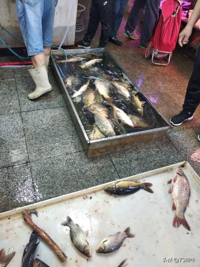 头条问答 哪种淡水鱼寄生虫少 24个回答