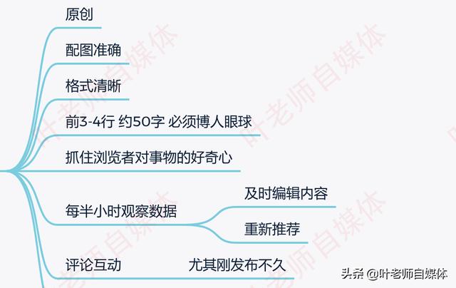 中国狸花猫评判标准:优质微头条判定标准是什么？