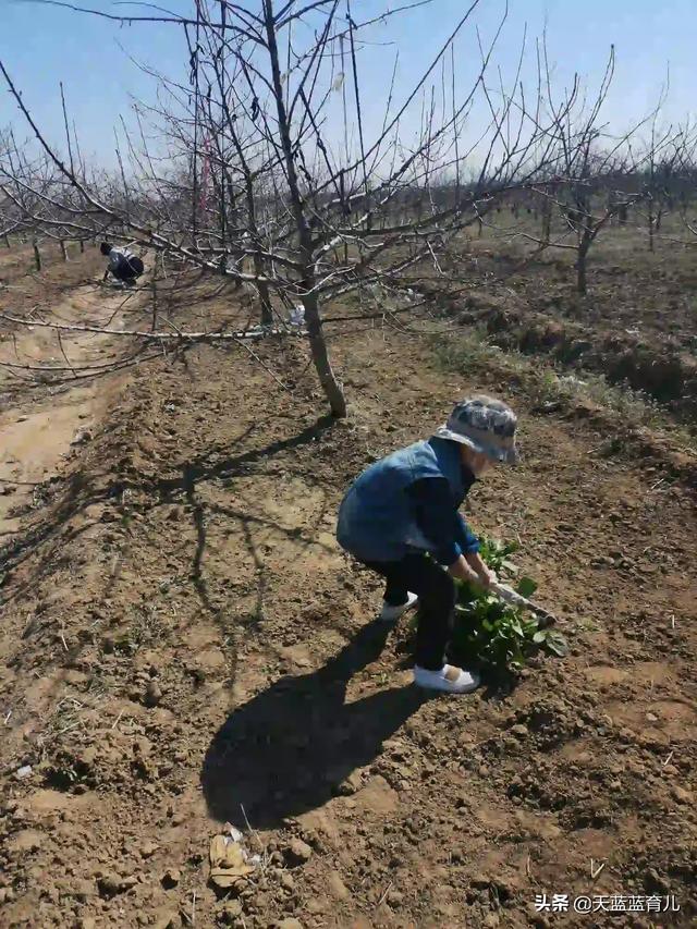 云南妈妈贵宾网开通了:云南近期是不是不适合去旅游？