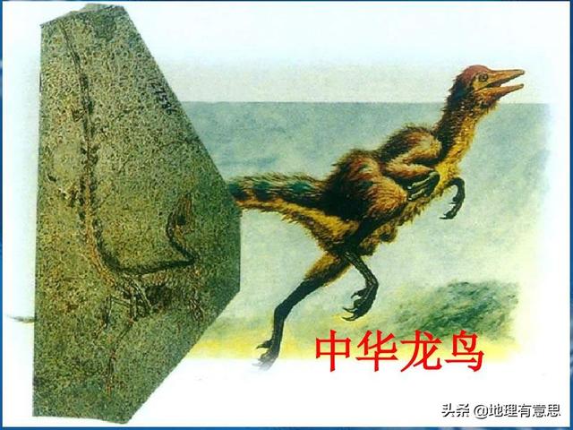 麻雀是谁:我们最熟悉的动物之一麻雀它的起源史到底是什么
