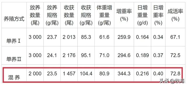 石斑鱼图片:山涧野河里抓到的，不知道叫什么名字，有认识的朋友吗？