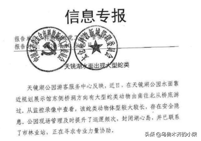 发现大蛇:天镜湖大蛇究竟是谁先发现的
