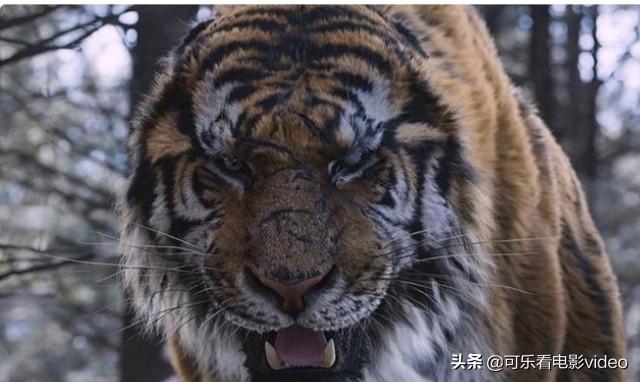 俊介君画像:魏源的《海国图志》为什么在日本更受欢迎？