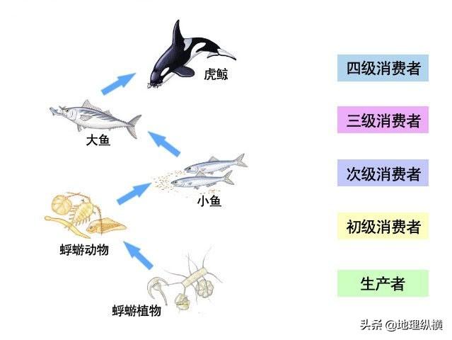 头条问答- 海洋生物资源最丰富的是哪个大洋？有什么依据？(4个回答)