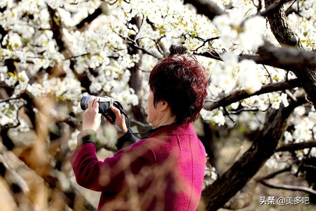 为了遮盖白发的染发多久一次最合适呢？插图6