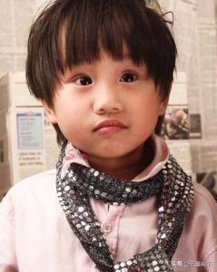 郑家榆电视剧:有没有类似《雍正王朝》这类权谋类的电视剧推荐？