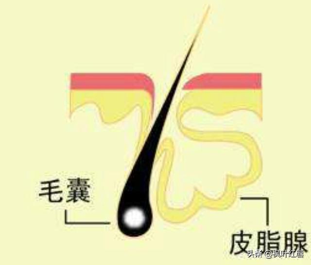 水解胶原纤脸面膜胶(水解胶原精华面膜)