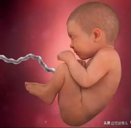 胎儿缺氧的表现有哪些，当胎儿缺氧，往往有哪些临床表现