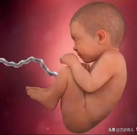 死胎有什么症状:胎停育前期会有哪些症状表现？