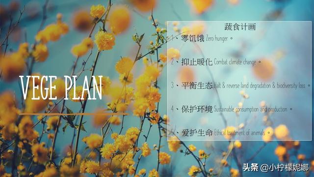 低碳饮食和素食哪个好？