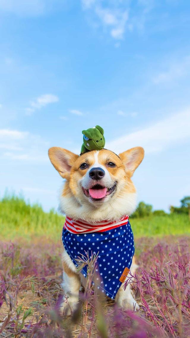 2021年养老金上调后，退休老人每月养老金3200元，算是什么水平？插图3