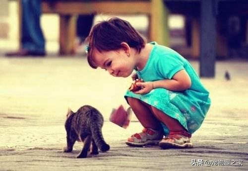 孕期养猫的好处和坏处:孕妇和猫真的不能和平共处吗？
