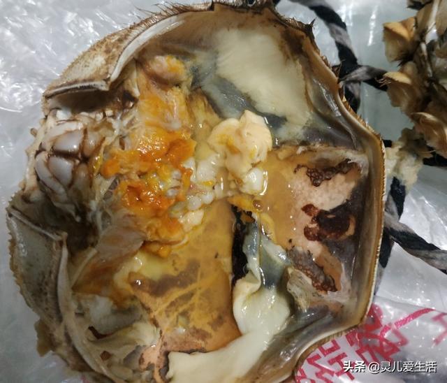 生蟹肉哪里刷:如何吃干净一只大闸蟹里的全部蟹肉？