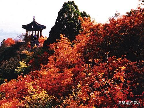 今年喜马拉雅山帝王花图片:请推荐五座你去过的山，五座你最想去却未去过的山？