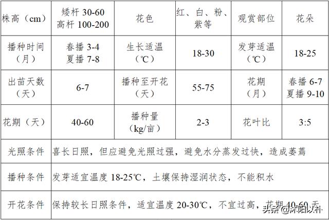 头条问答 格桑花怎么种植和养护 41个回答