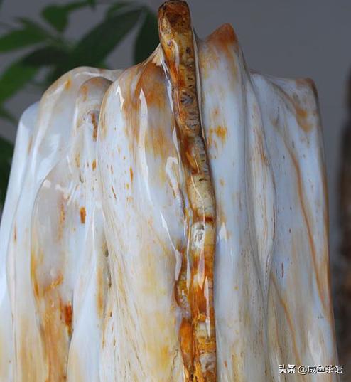 火瓢虫:恐龙之前的地球霸主霸王蝾螈，若它还在，恐龙还有崛起的机会吗？