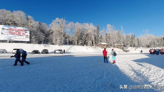 2021年春节期间天气如何,雨雪多不多？