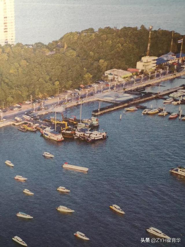 有什么好看的电视剧推荐一波？