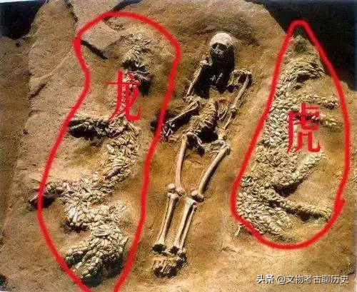 河南省看见龙，河南濮阳西水坡发现墓葬的意义是什么