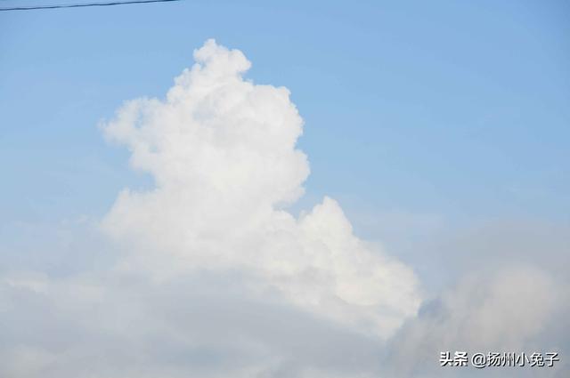 台风“灿都”预计中午到下午穿过舟山群岛 浙江未来24小时天气预报，2020年8月去舟山旅游安全吗？