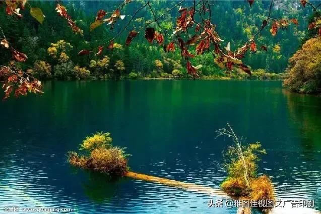 重庆周边<a href=https://maguai.com/list/52-0-0.html target=_blank class=infotextkey>旅游</a>:重庆周边的景点你会选择去哪个？