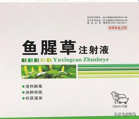 产妇乳腺炎吃什么药退烧:请问，母猪产后乳房炎高烧40度不吃食，怎么治疗？